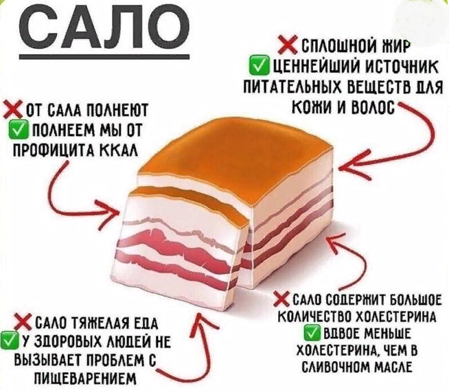 https://upforme.ru/uploads/001a/fc/60/64/266900.png