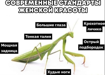 https://upforme.ru/uploads/001a/fd/54/10/t998790.png
