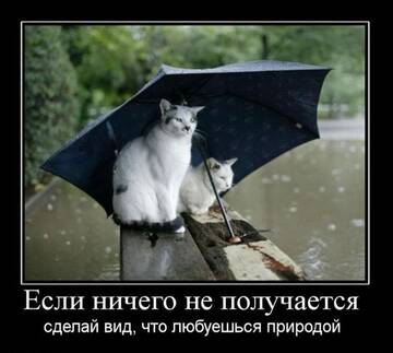 https://upforme.ru/uploads/001a/fd/54/2/t808547.jpg