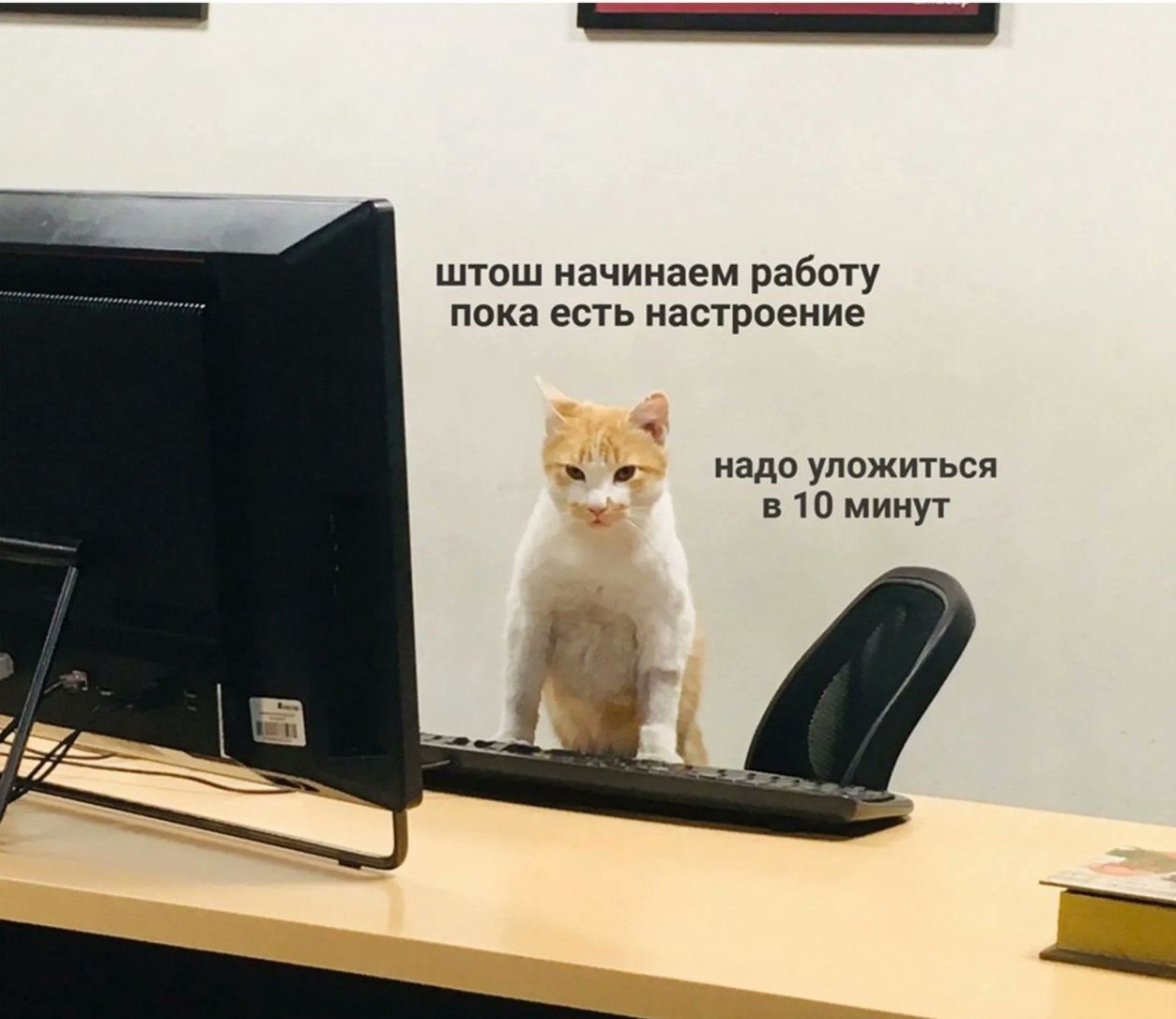 https://upforme.ru/uploads/001a/fd/bb/6/364784.jpg
