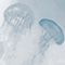 https://upforme.ru/uploads/001a/fe/04/385/106479.png