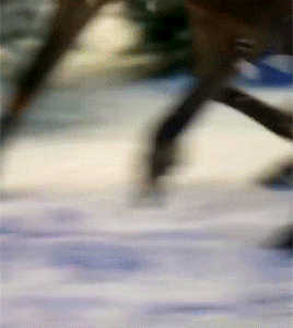 https://upforme.ru/uploads/001a/fe/3a/2/756537.gif