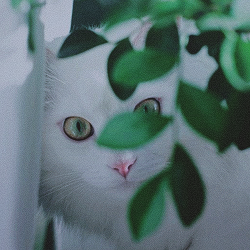 https://upforme.ru/uploads/001b/01/b3/11/256052.png