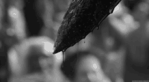 https://upforme.ru/uploads/001b/02/de/6/304921.gif