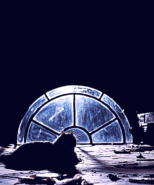 https://upforme.ru/uploads/001b/02/f2/5/228450.gif
