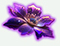 https://upforme.ru/uploads/001b/04/8f/3/679116.jpg