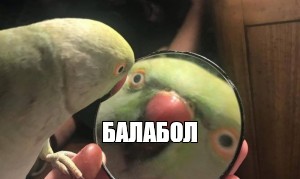 https://upforme.ru/uploads/001b/04/8f/5/808769.jpg
