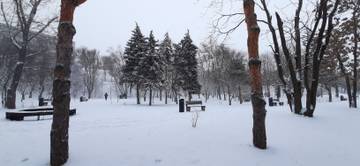 https://upforme.ru/uploads/001b/09/4d/2/t150763.jpg
