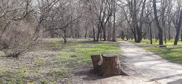 https://upforme.ru/uploads/001b/09/4d/2/t16530.jpg
