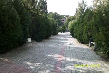 https://upforme.ru/uploads/001b/09/4d/2/t178266.jpg
