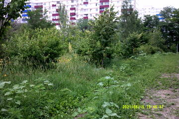 https://upforme.ru/uploads/001b/09/4d/2/t196597.jpg