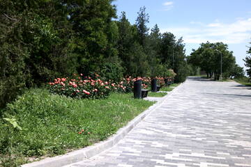 https://upforme.ru/uploads/001b/09/4d/2/t209550.jpg