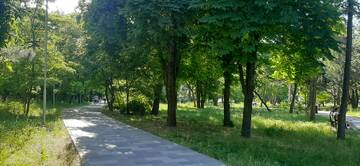 https://upforme.ru/uploads/001b/09/4d/2/t239813.jpg