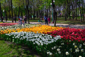 https://upforme.ru/uploads/001b/09/4d/2/t274250.jpg