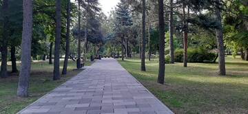 https://upforme.ru/uploads/001b/09/4d/2/t348414.jpg