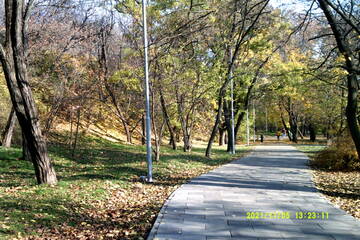 https://upforme.ru/uploads/001b/09/4d/2/t363620.jpg