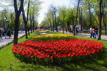 https://upforme.ru/uploads/001b/09/4d/2/t404684.jpg
