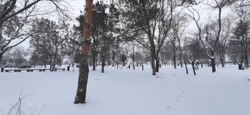 https://upforme.ru/uploads/001b/09/4d/2/t451294.jpg