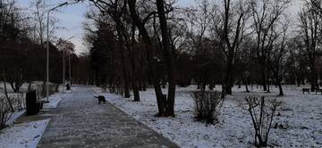 https://upforme.ru/uploads/001b/09/4d/2/t461449.jpg