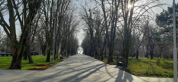 https://upforme.ru/uploads/001b/09/4d/2/t468245.jpg