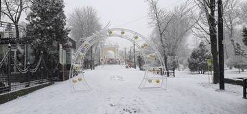https://upforme.ru/uploads/001b/09/4d/2/t486000.jpg