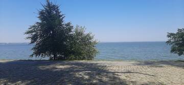 https://upforme.ru/uploads/001b/09/4d/2/t543800.jpg