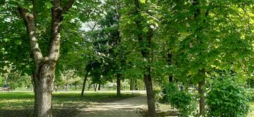 https://upforme.ru/uploads/001b/09/4d/2/t563488.jpg