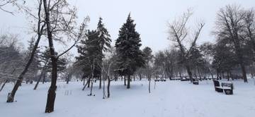 https://upforme.ru/uploads/001b/09/4d/2/t601243.jpg
