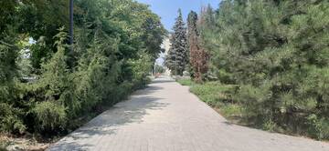 https://upforme.ru/uploads/001b/09/4d/2/t668531.jpg