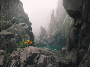 https://upforme.ru/uploads/001b/09/4d/2/t670278.jpg