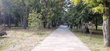 https://upforme.ru/uploads/001b/09/4d/2/t695624.jpg