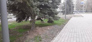 https://upforme.ru/uploads/001b/09/4d/2/t707714.jpg
