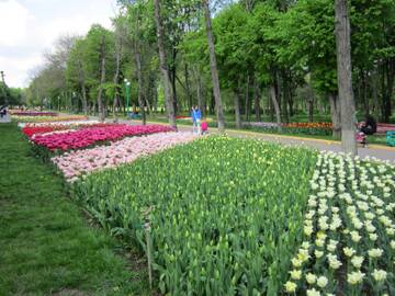 https://upforme.ru/uploads/001b/09/4d/2/t730009.jpg