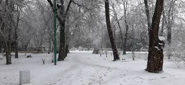 https://upforme.ru/uploads/001b/09/4d/2/t748253.jpg