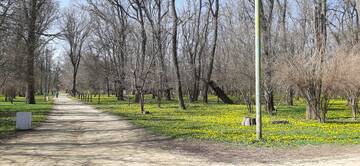 https://upforme.ru/uploads/001b/09/4d/2/t761468.jpg