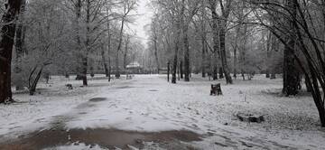 https://upforme.ru/uploads/001b/09/4d/2/t78357.jpg