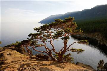 https://upforme.ru/uploads/001b/09/4d/2/t785234.jpg