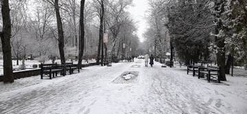 https://upforme.ru/uploads/001b/09/4d/2/t786815.jpg