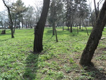 https://upforme.ru/uploads/001b/09/4d/2/t82590.jpg