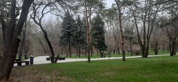 https://upforme.ru/uploads/001b/09/4d/2/t841576.jpg