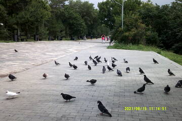 https://upforme.ru/uploads/001b/09/4d/2/t841925.jpg