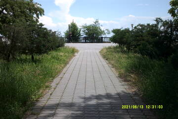 https://upforme.ru/uploads/001b/09/4d/2/t845811.jpg