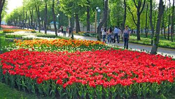 https://upforme.ru/uploads/001b/09/4d/2/t857506.jpg