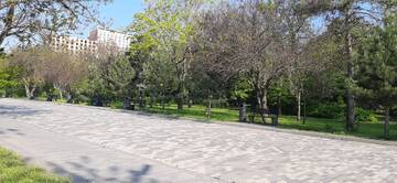 https://upforme.ru/uploads/001b/09/4d/2/t877493.jpg