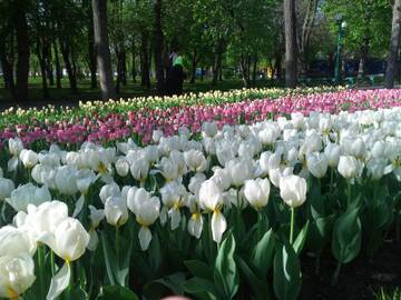 https://upforme.ru/uploads/001b/09/4d/2/t90784.jpg
