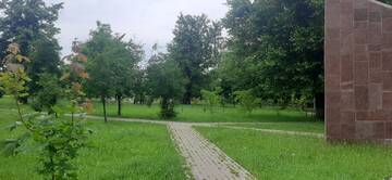 https://upforme.ru/uploads/001b/09/4d/2/t922543.jpg