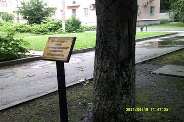 https://upforme.ru/uploads/001b/09/4d/2/t942725.jpg