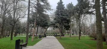 https://upforme.ru/uploads/001b/09/4d/2/t971994.jpg