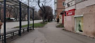 https://upforme.ru/uploads/001b/09/4d/2/t972972.jpg