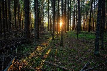 https://upforme.ru/uploads/001b/09/4d/2/t980754.jpg